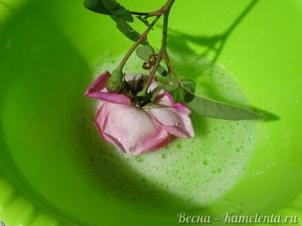 Приготовление рецепта Торт-суфле &quot;Цветочное облако&quot; шаг 3