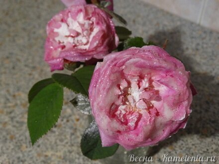 Приготовление рецепта Торт-суфле &quot;Цветочное облако&quot; шаг 5