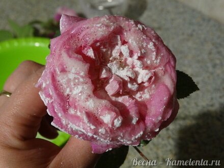 Приготовление рецепта Торт-суфле &quot;Цветочное облако&quot; шаг 4