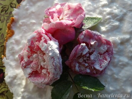 Приготовление рецепта Торт-суфле &quot;Цветочное облако&quot; шаг 17