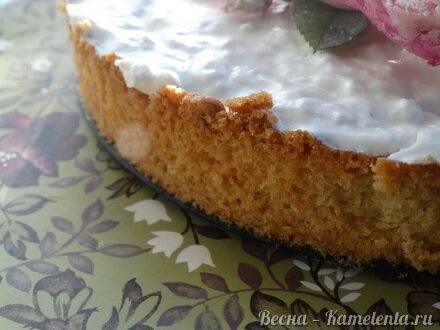 Приготовление рецепта Торт-суфле &quot;Цветочное облако&quot; шаг 19