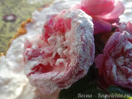 Приготовление рецепта Торт-суфле &quot;Цветочное облако&quot; шаг 21