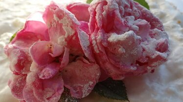 Рецепт Торт-суфле "Цветочное облако"