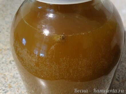 Приготовление рецепта Квас из сусла шаг 3