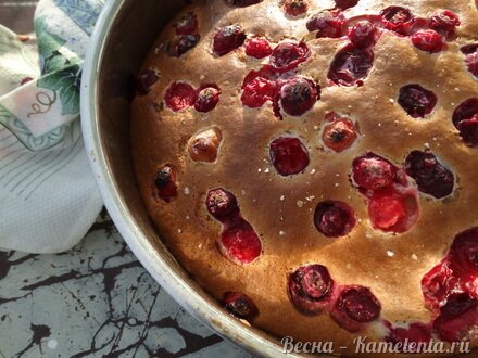 Приготовление рецепта Пирог &quot;Сметанник&quot; шаг 8