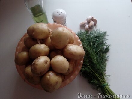 Приготовление рецепта Молодой картофель с чесноком и зеленью шаг 1