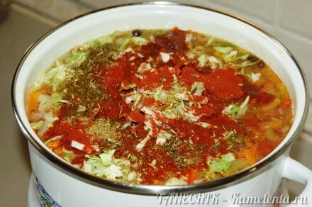 Приготовление рецепта Летний борщ без свеклы с помидорами шаг 9