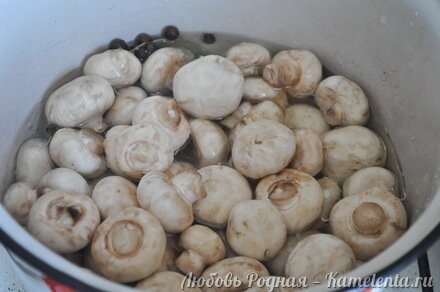 Приготовление рецепта Маринованные шампиньоны шаг 5