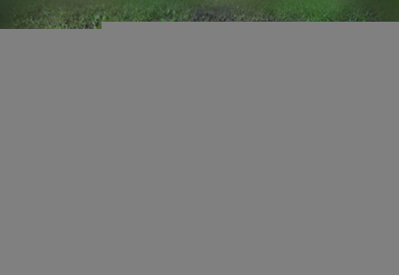 Приготовление рецепта Люля-кебаб по-турецки шаг 3