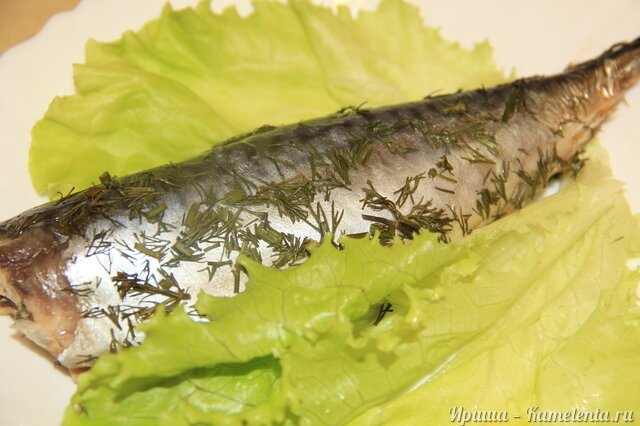 Рецепт запеченой скумбрии