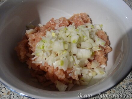 Приготовление рецепта Куриные биточки с овсяными хлопьями шаг 4